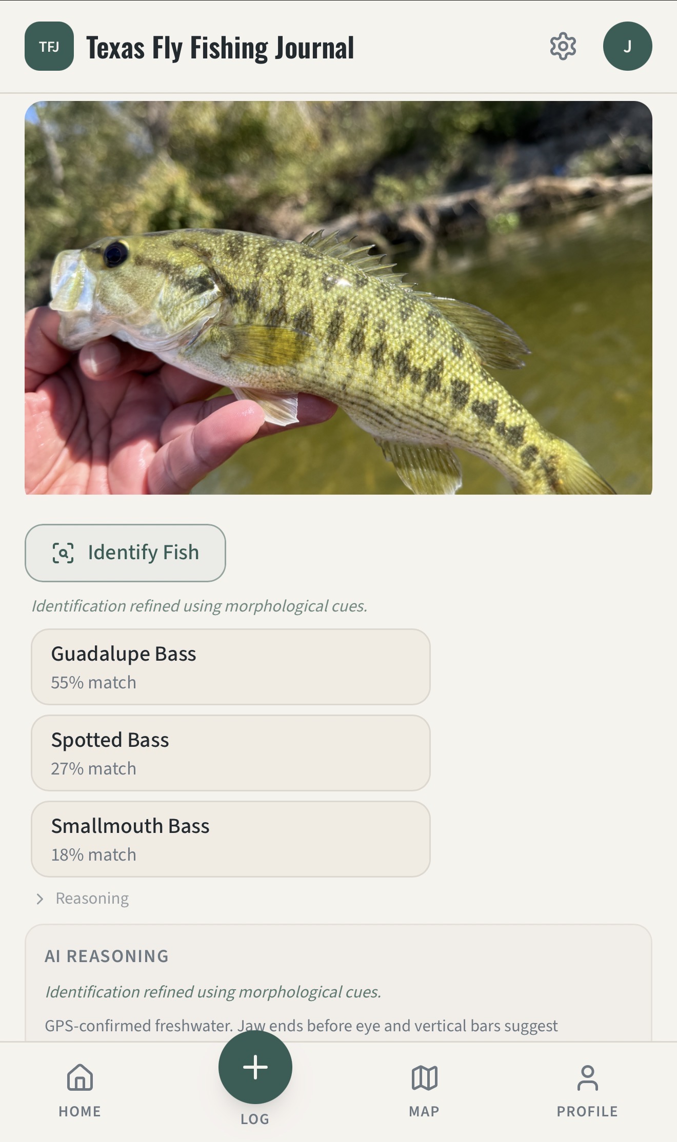 The app identifying a Guadalupe Bass from a photo, with ranked species matches.