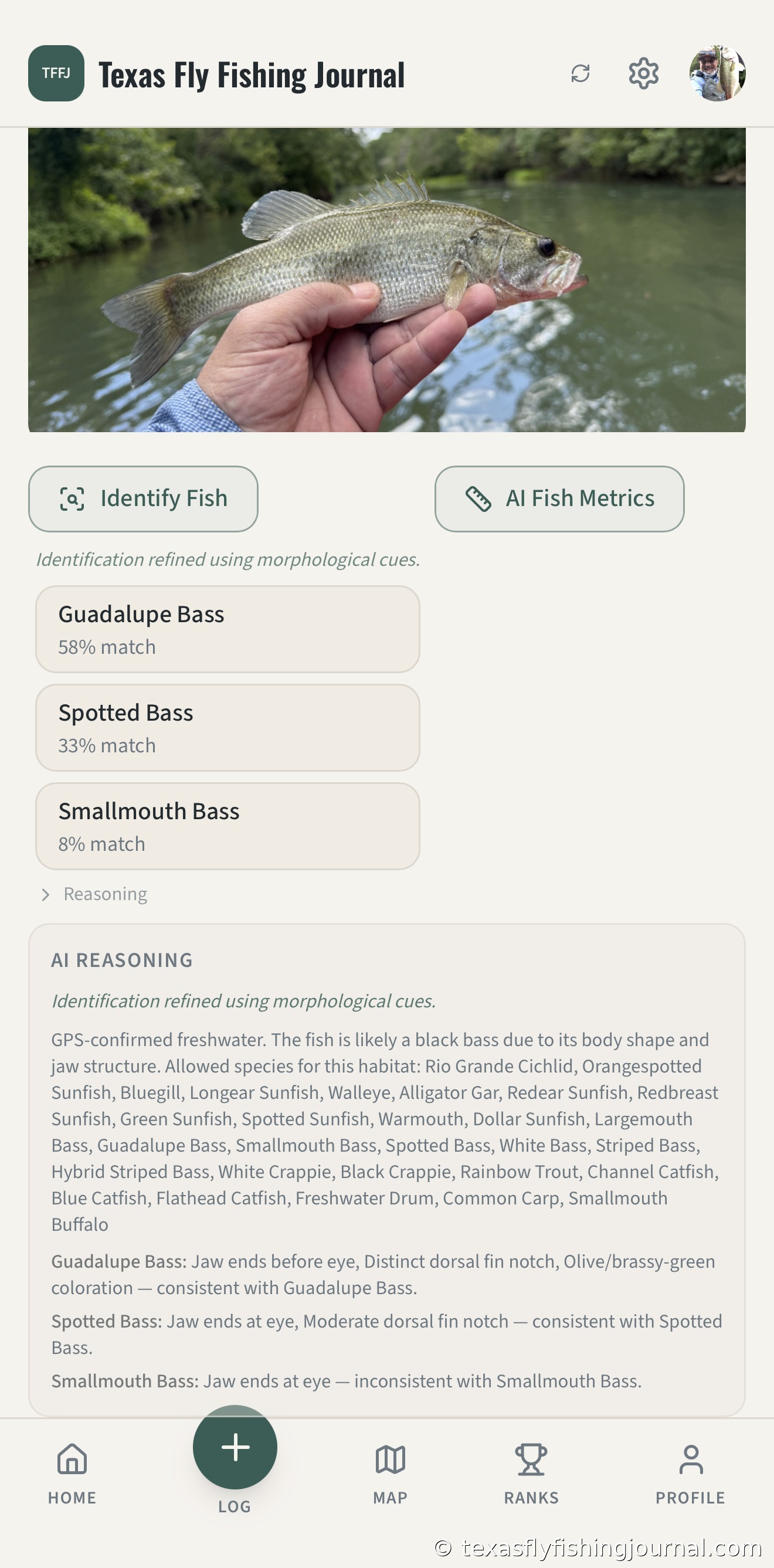 Texas Fly Fishing Journal's AI species identification analyzing a Guadalupe Bass.